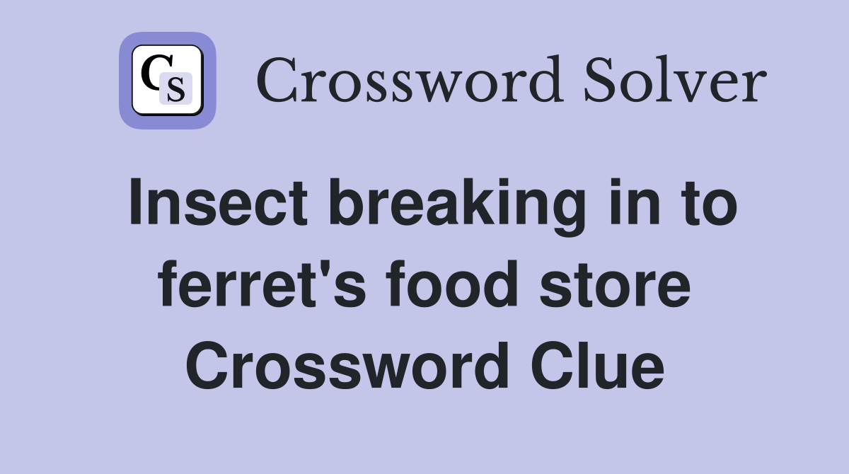Insect breaking in to ferret's food store Crossword Clue Answers
